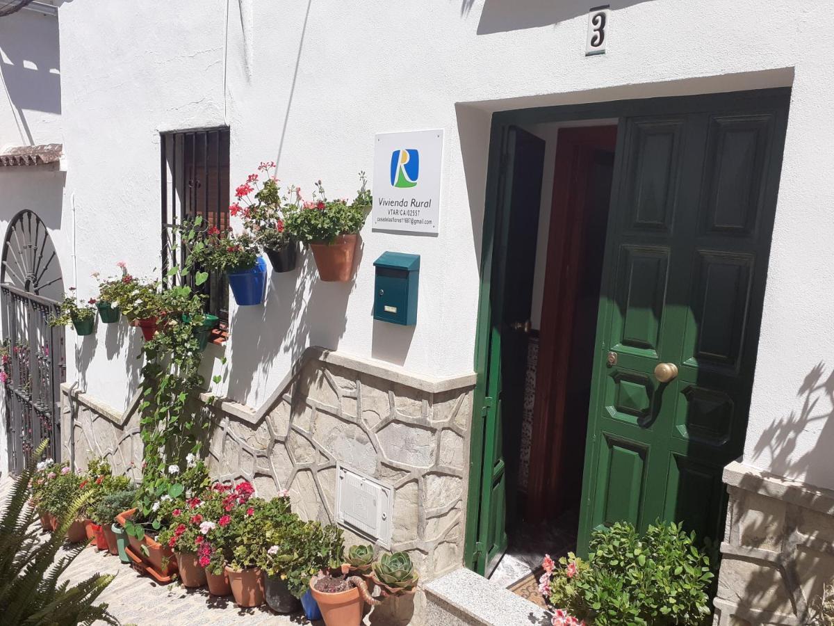 Casa De Las Flores - A Picture Perfect Location! El Gastor Exterior photo