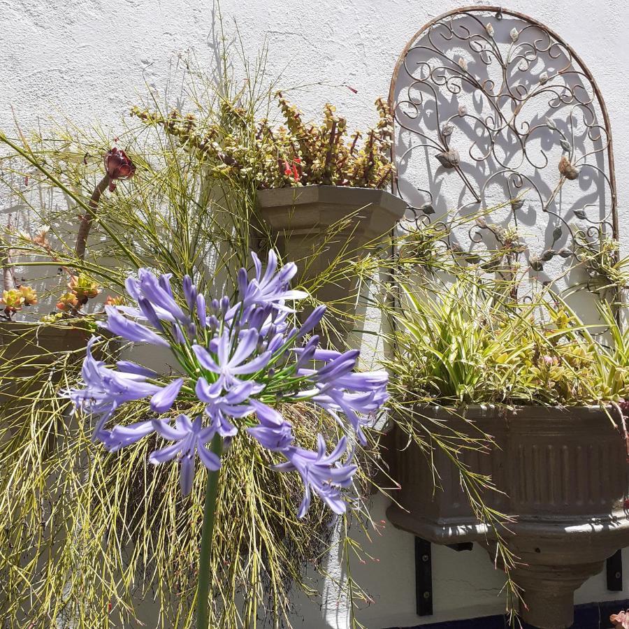 Casa De Las Flores - A Picture Perfect Location! El Gastor Exterior photo