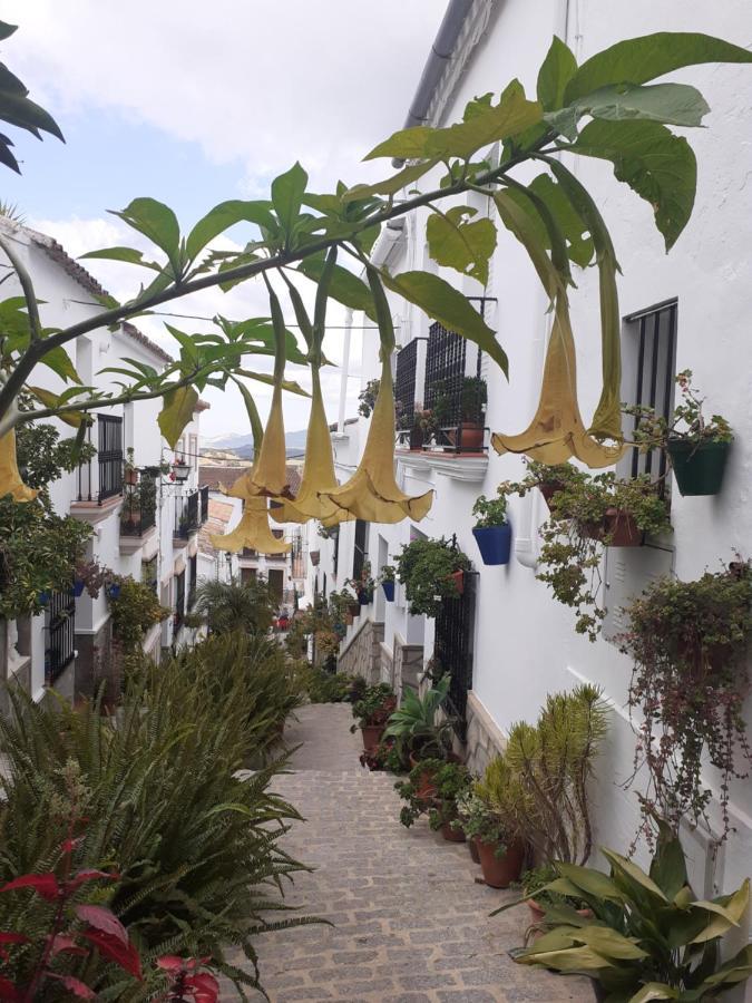 Casa De Las Flores - A Picture Perfect Location! El Gastor Exterior photo