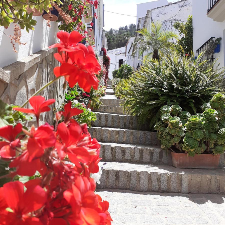 Casa De Las Flores - A Picture Perfect Location! El Gastor Exterior photo